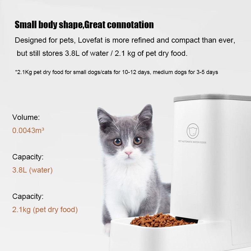 Oasis Lovefeat – Distributeur Automatique 3,8 L avec Bol Détachable