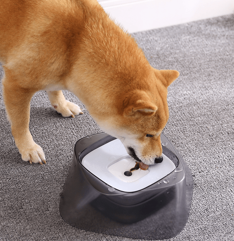Bol Anti‑Éclaboussures pour Animaux – Hydratation Propre 750 ml