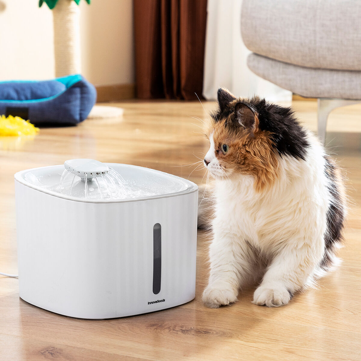 Fontaine à Eau Innovante pour Animaux - Hydratation Fraîche & Continue
