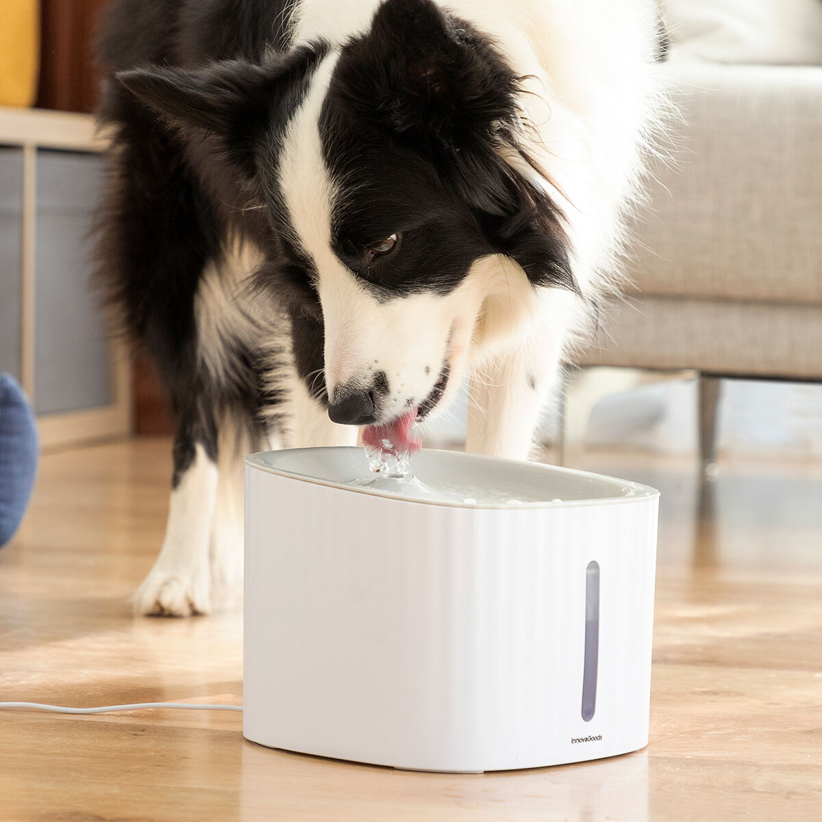 Fontaine à Eau Innovante pour Animaux - Hydratation Fraîche & Continue