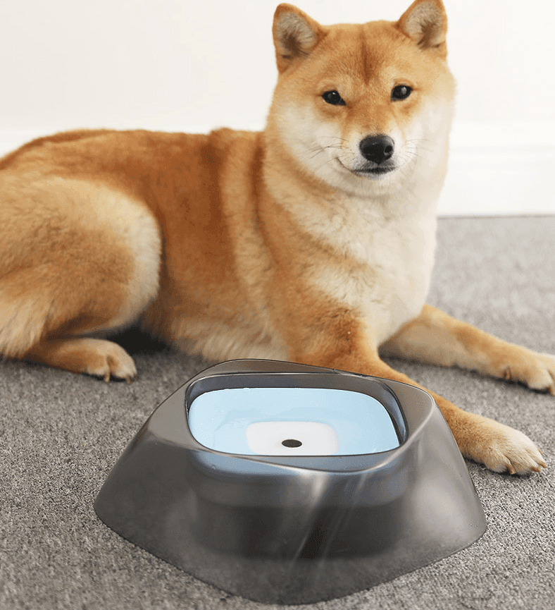 Bol Anti‑Éclaboussures pour Animaux – Hydratation Propre 750 ml