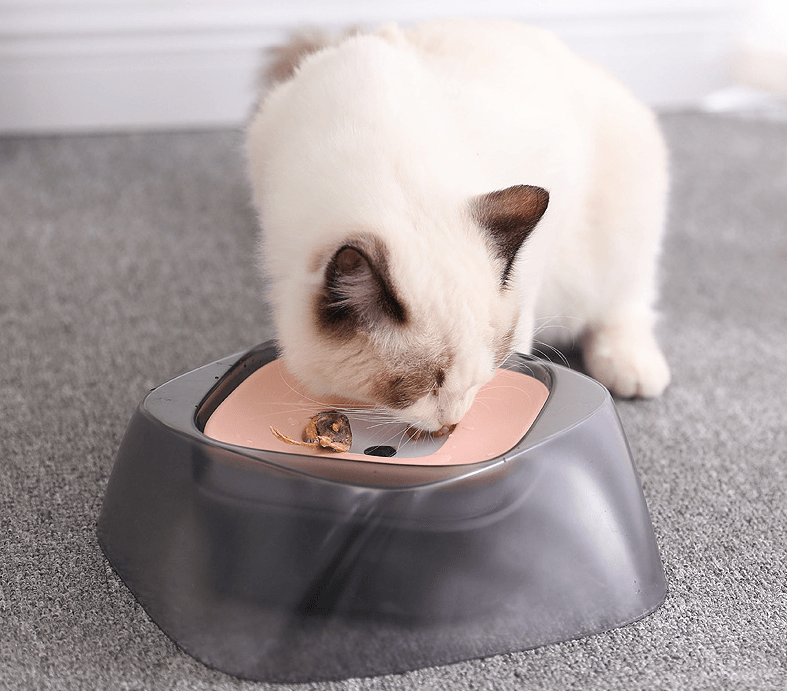 Bol Anti‑Éclaboussures pour Animaux – Hydratation Propre 750 ml