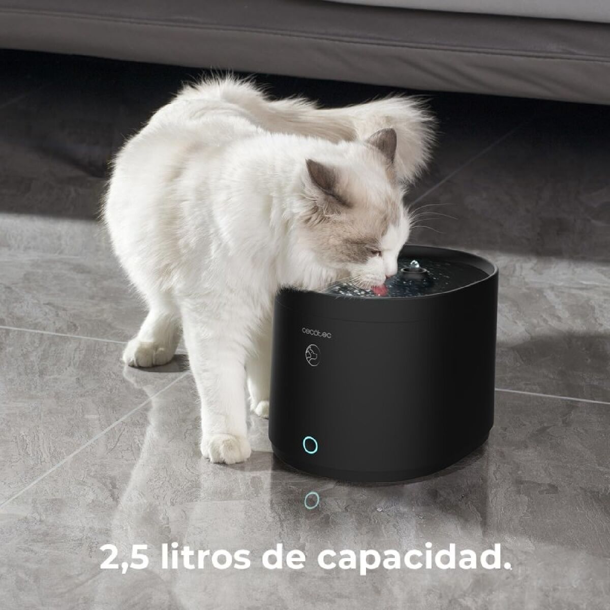 Fontaine à Eau Connectée pour Animaux – Cecotec 2,5 L