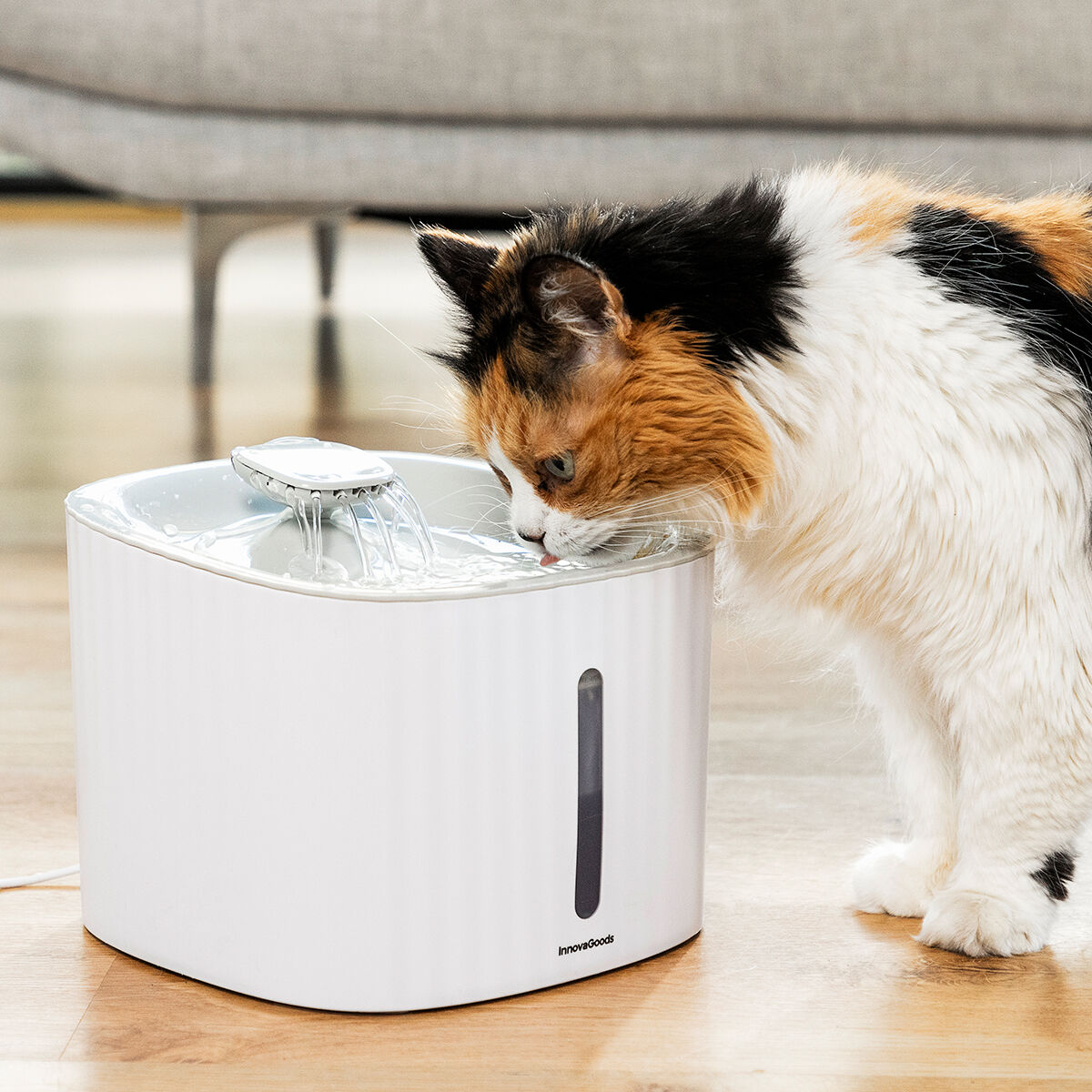Fontaine à Eau Innovante pour Animaux - Hydratation Fraîche & Continue